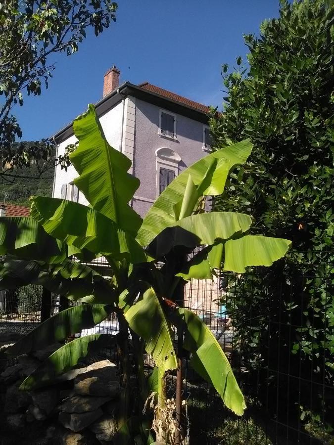 Hotel A Deux Pas Du Rheby Villebois Zewnętrze zdjęcie
